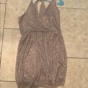 Express shimmer dress